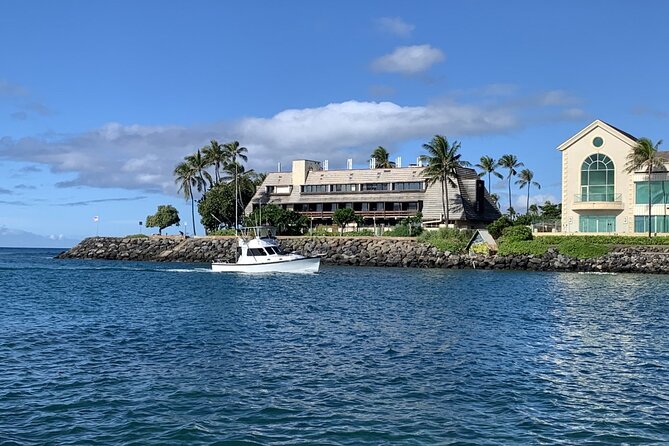 Private Whale Watching and Dolphin Excursion - Price and value: $265 per person, what you get for it