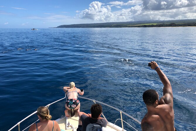 Private Whale Watching Safari from North Shore Oahu - Practical logistics that affect your day