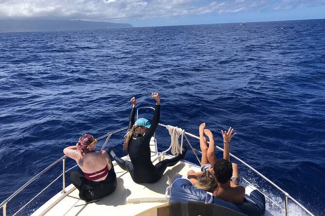Private Whale Watching Safari from North Shore Oahu - Who should book this private North Shore whale safari?