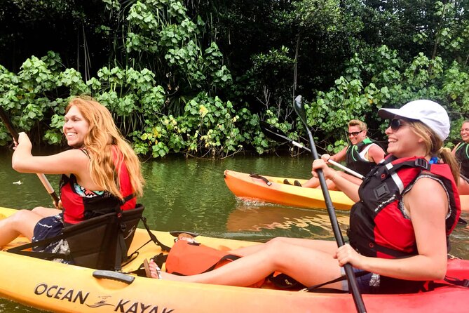 Rainforest River Kayak Self-Guided Kayak Tour - Paddling the Kahana area: estuary water, rainforest vibes