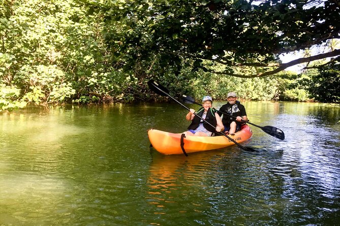 Rainforest River Kayak Self-Guided Kayak Tour - The one drawback to plan around: what kind of river are you expecting?