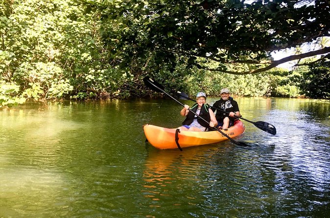 Rainforest River Kayak Self-Guided Kayak Tour - Value check: $82 for gear, calm conditions, and a secluded-feeling route