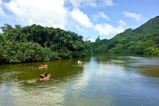 Rainforest River Kayak Self-Guided Kayak Tour - Who will enjoy this most (and who should pass)
