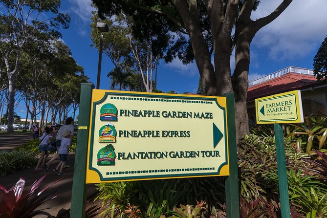 Real Hawaii Circle Island Tour - Halona Blowhole: Volcanic Hawaii Without the Volcanoes