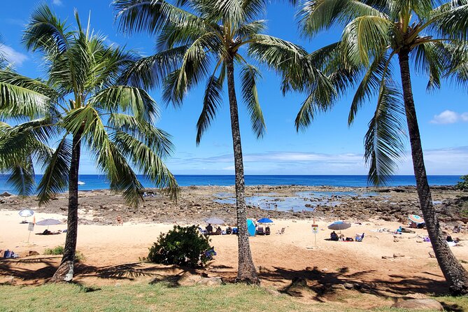 Round Trip North Shore Shuttle from Waikiki to Haleiwa Town / Haleiwa Harbor - The Scenic Route Stops: Waimea Valley, Shark’s Cove, Banzai Pipeline, Sunset Beach