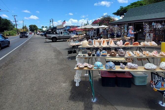 Round Trip North Shore Shuttle from Waikiki to Haleiwa Town / Haleiwa Harbor - Timing and Real-World Pacing: What Feels Easy and What Feels Tight