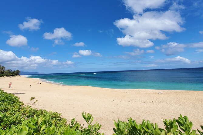 Round Trip North Shore Shuttle from Waikiki to Haleiwa Town / Haleiwa Harbor - Driver Style, Safety, and On-the-Road Info