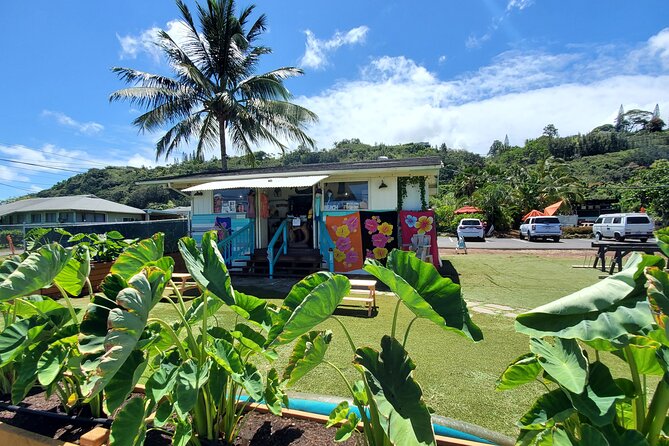 Round Trip North Shore Shuttle from Waikiki to Haleiwa Town / Haleiwa Harbor - Waikiki Pickup Points: Set Yourself Up for an Easy Start