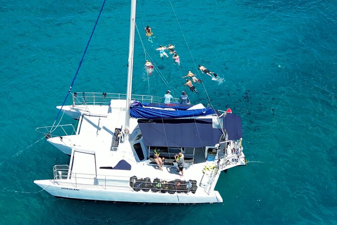 Sail and Turtle Snorkeling Tour in Waikiki - Getting onto the water: boat comfort that matters in Waikiki