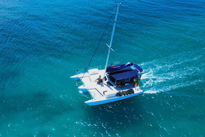 Sail and Turtle Snorkeling Tour in Waikiki - On-board vibe: laid-back hosting with real safety staffing