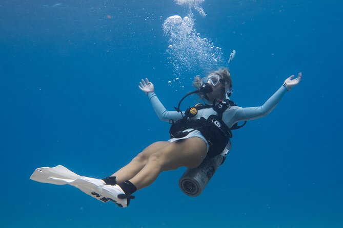 Scuba Dive at Electric Beach - Your Electric Beach shore session: what happens once you’re in