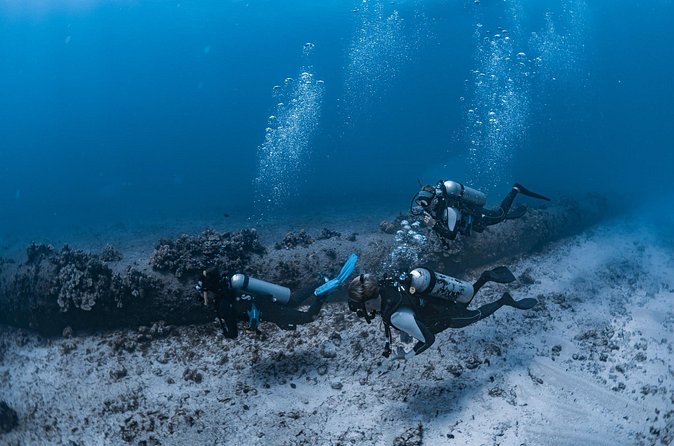 Scuba Dive at Electric Beach - Who this Electric Beach shore scuba outing fits best