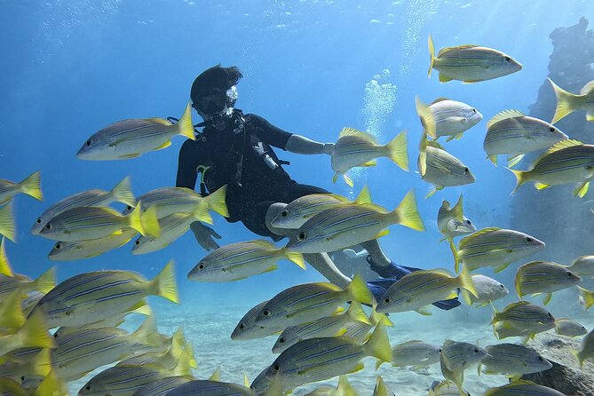 SCUBA Dive at Electric Beach with Photos -No Certification Needed - Key things to know before you book
