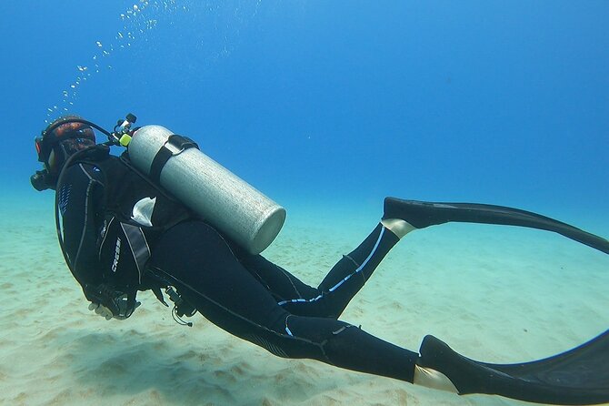 SCUBA Dive at Electric Beach with Photos -No Certification Needed - Equipment, photos, and the small-group value of paying $130