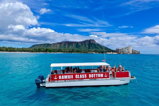 Sea Safari, Dolphins, Turtles and Waikiki Cruise - One Hour Of Waikiki Water Time That Still Feels Worth It