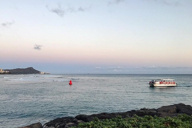 Sea Safari, Dolphins, Turtles and Waikiki Cruise - Waikiki Beach Coast Cruise: The Scenery Playbook (And Why Route Matters)