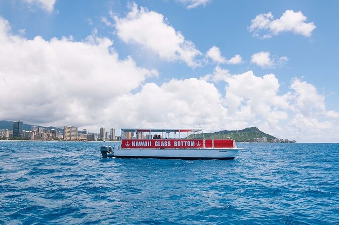 Sea Safari, Dolphins, Turtles and Waikiki Cruise - Should You Book This Oahu Sea Safari? A Quick Fit Check