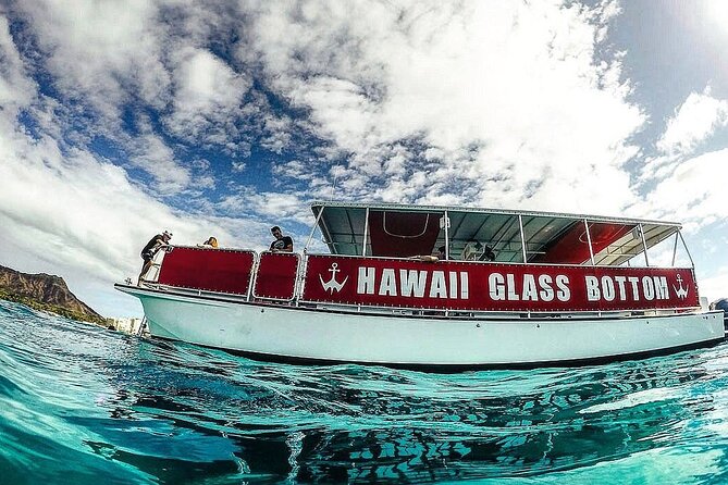 Sea Safari, Dolphins, Turtles and Waikiki Cruise - Haleiwa Queen Catamaran: Glass Viewing Ports And Dry-Watching Comfort