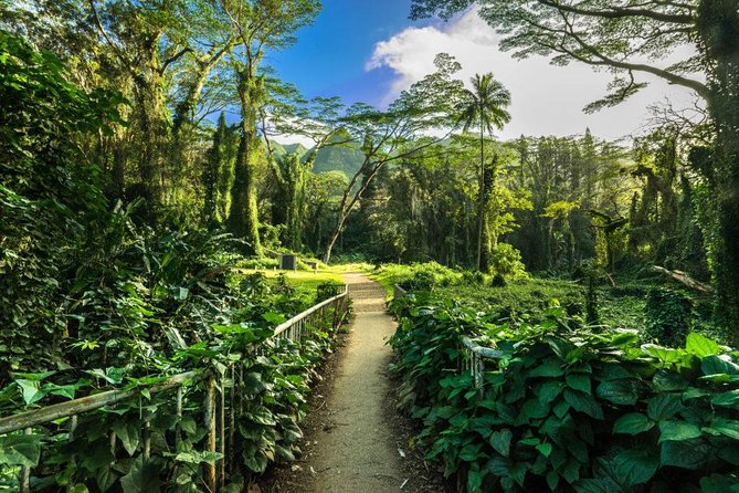 Self guided Hike Trail to Nature Walk & Waterfall - The $79 value: what you really get in 3 hours