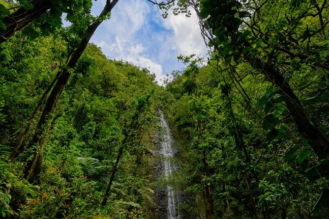 Self guided Hike Trail to Nature Walk & Waterfall - Guides make the difference: the names to remember