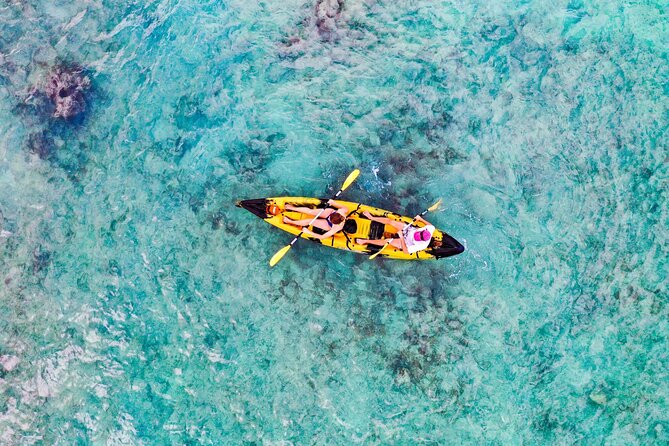 Self-Guided Kayaking Tour in Kailua Bay and Popoia Island - Kayaking through Kailua Bay, turtle habitat with reef protection