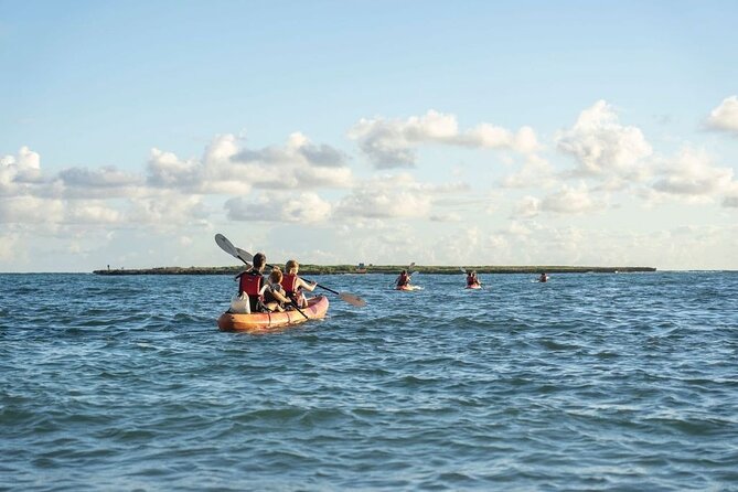 Self-Guided Kayaking Tour in Kailua Bay and Popoia Island - Active Oahu Tours pickup at 134b Hamakua Dr, and the car-kayak reality check