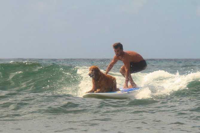 Semi-Private Surf Lesson - The 2-hour flow: land briefing, then nonstop wave time