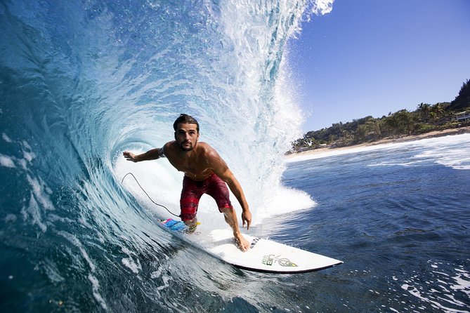 Semi-Private Surf Lesson - Sea turtles: how to spot them without getting distracted