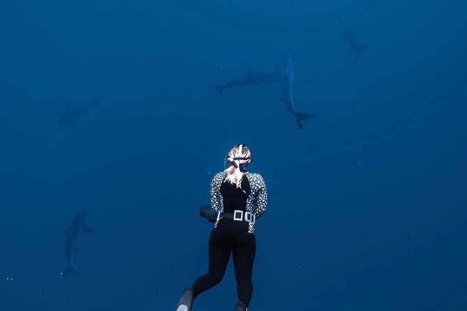 Shark Diving and Snorkeling in Oahu Hawaii - Small-group snorkeling: maximum six means more calm