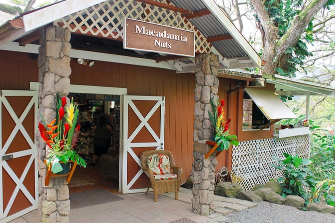 Sights & Bites Ultimate Oahu Circle Island Foodie Tour - Makapu’u and Mokoli’i: the coastline viewpoints that feel like a postcard