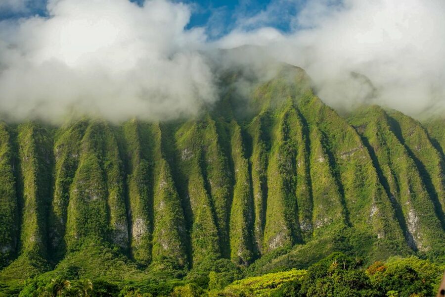 Small Group 3 Hour Honolulu Sunrise Tour with Malasadas - Key points you will actually feel
