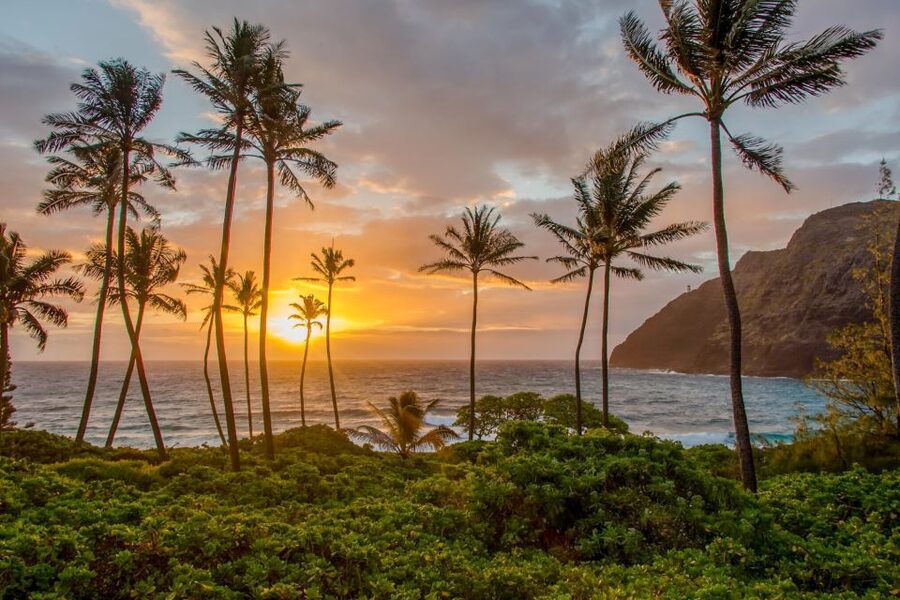 Small Group 3 Hour Honolulu Sunrise Tour with Malasadas - Waikiki hotel pickup: what to expect before the first light