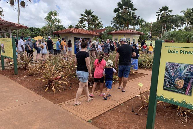 Small Group-Oahu Tour, Dole Plantation, Northshore, Sunset Beach - Punchbowl National Memorial Cemetery: a sobering pause on the route