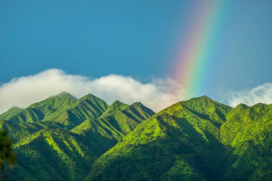 Small Group Tour of Honolulu Scenic Vistas with Sunset - Tantalus and panoramic practice above Honolulu’s skyline