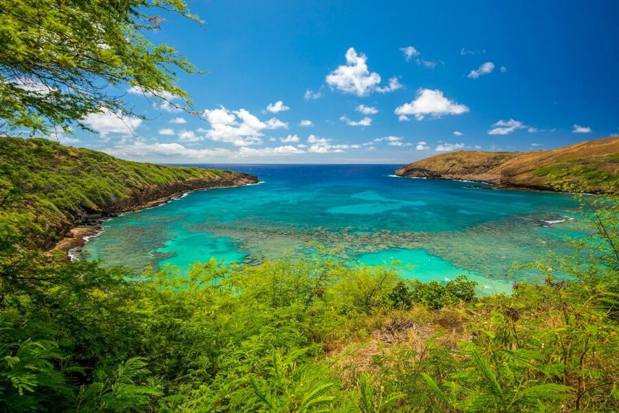 Small Group Tour of Honolulu Scenic Vistas with Sunset - Koko Crater Botanical Garden: plumerias, calm footpaths, and a break from coastal wind