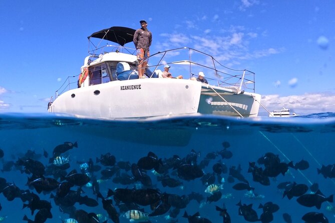 Small Group Turtle Canyon Snorkel in Waikiki (Boat Tour) - Key things to know before you go