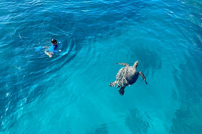 Small Group Turtle Canyon Snorkel in Waikiki (Boat Tour) - Getting On Board at Waikiki Beach: Gear, Shade, and First-Time Confidence