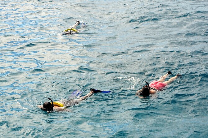 Small group Turtle Snorkel (16 people max): Sightings Guaranteed - Who This Tour Suits Best (And Who Should Skip It)