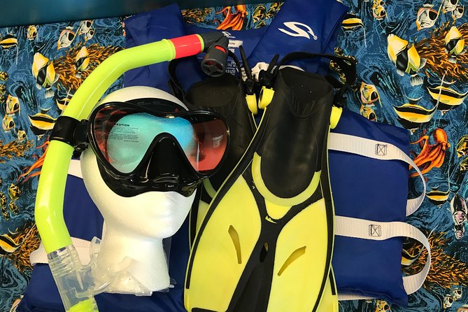 Snorkel Gears near Hanauma Bay - The Snorkeling Reality at Hanauma Bay