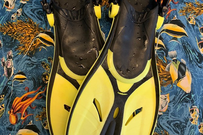 Snorkel Gears near Hanauma Bay - Nearby Food Stop: Leonard’s Malasadas Gives Your Wait a Purpose