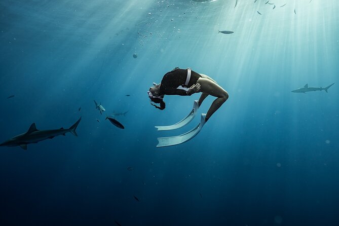 Snorkel with sharks on the North Shore of Oahu - How the Timing Works for a 2-Hour Trip