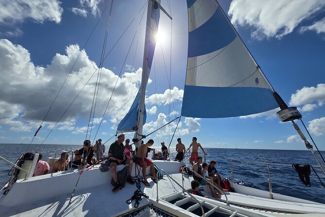 Snorkeling Adventure at Turtle Canyon - Price and value: is $80 per person worth it?