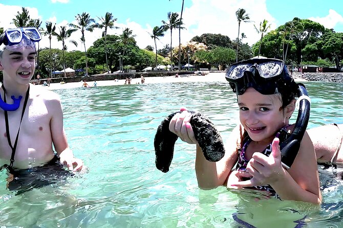 Snorkeling in Waikiki Many Fish All Levels Free Video & Pics! - Key Reasons This Snorkel Trip Works So Well