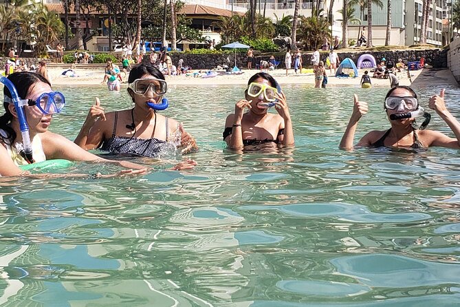 Snorkeling in Waikiki Many Fish All Levels Free Video & Pics! - The One Stop Itinerary: Waikiki Beach and Your Marine Conservation Area Spot