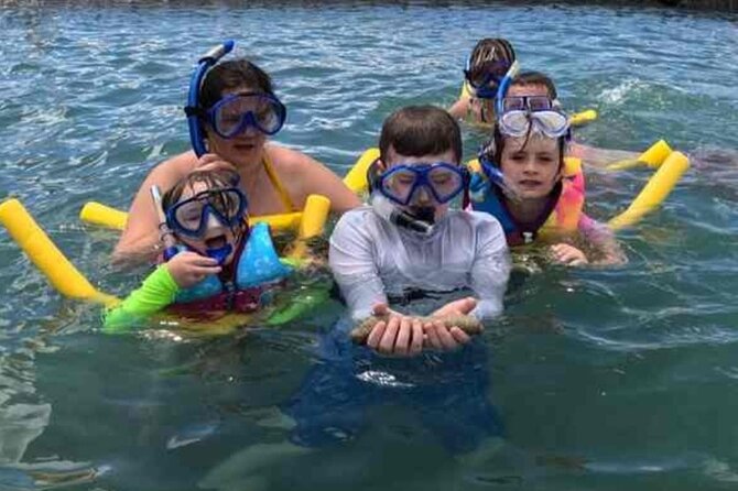 Snorkeling in Waikiki Many Fish All Levels Free Video & Pics! - What You Get Back on Land: Free Photos and a Compilation Video