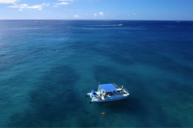 Snorkeling with Sea Turtles in Waikiki Hawaii Boat Tour - Wildlife You Can Hope For: Turtles, Fish, and Ocean Extras