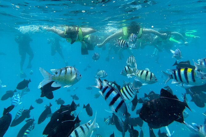Snorkeling with Sea Turtles in Waikiki Hawaii Boat Tour - How the Stops Work: Waikiki to Honolulu and Out Over Oahu Waters