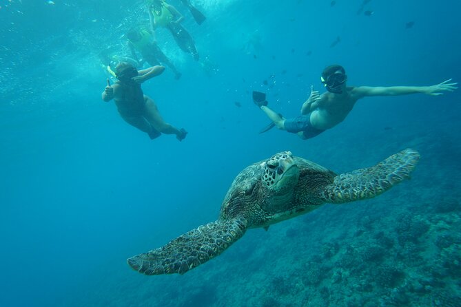 Snorkeling with Sea Turtles in Waikiki Hawaii Boat Tour - Who This Tour Fits Best (and Who Might Want to Rethink It)