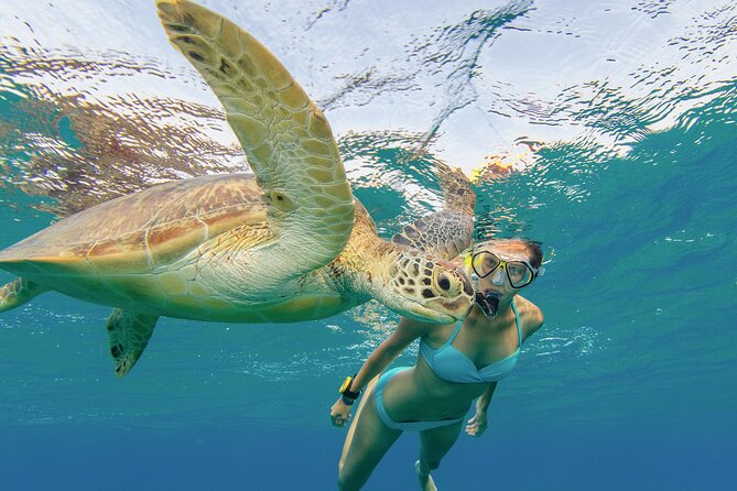 Snorkeling with Turtle/Water Scooter/Paddleboard Adventures Oahu - Stand Up Paddleboarding (S.U.P.) and Your Real Skill Check