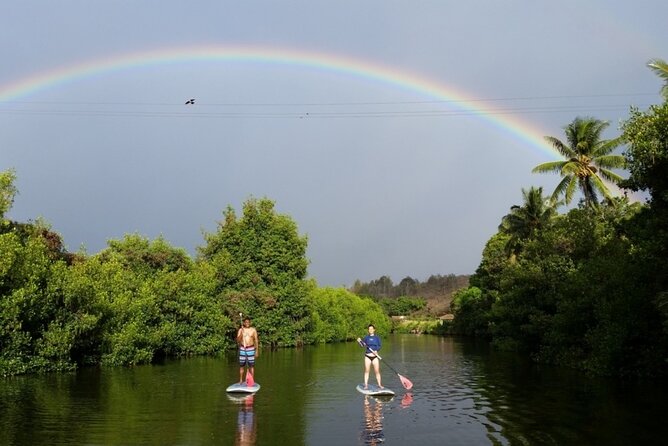 Stand Up Paddle Nature and Turtle tour-Guaranteed to see turtles - Quick hits before you paddle